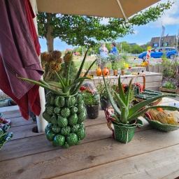 nordsee rundreise 2023_75